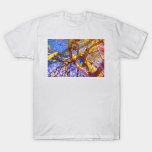 psychedelic tubes T-Shirt